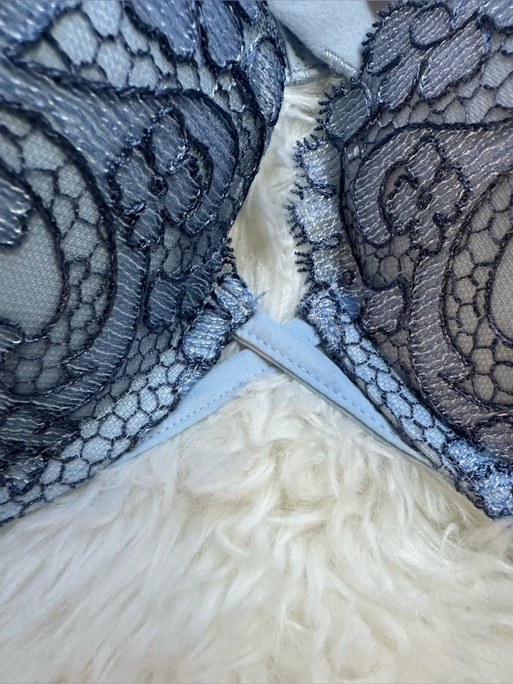 NWOT Victoria's Secret Dream Angels Embroidered Lace Push Up Bra 36C Blue